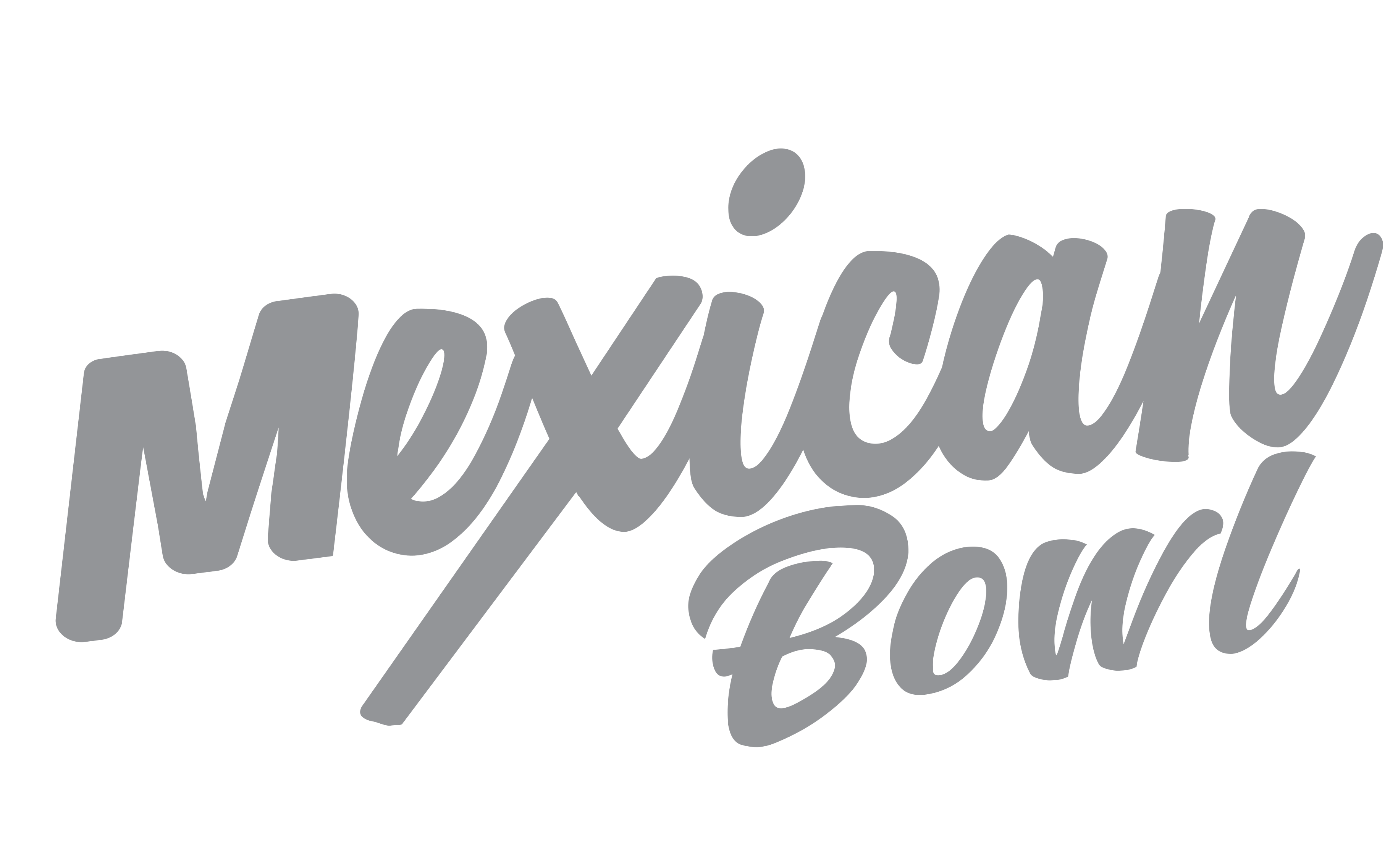 Mexican Bowl